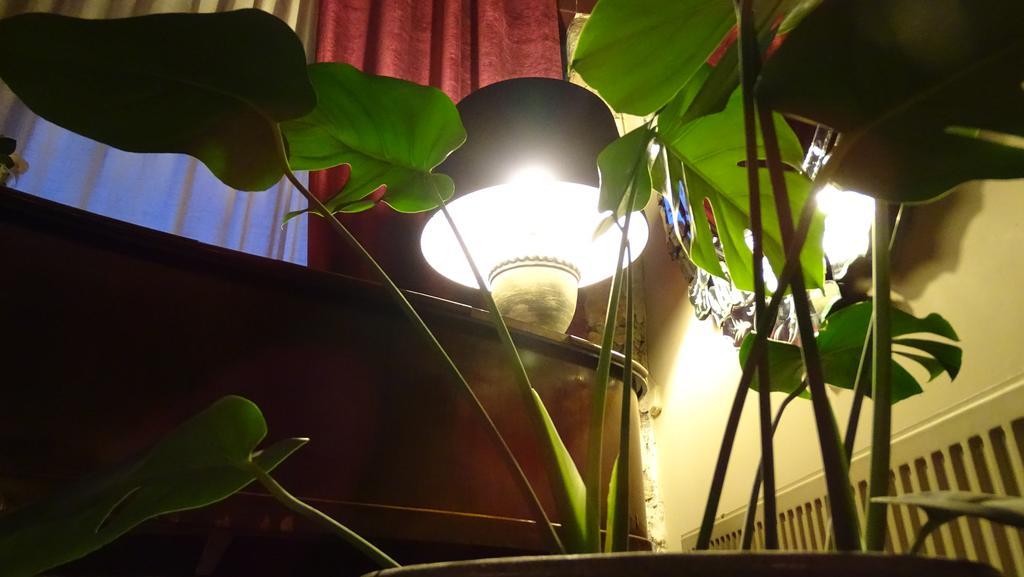 Hotel Cardamomo Sigueenza Carabias  Eksteriør bilde